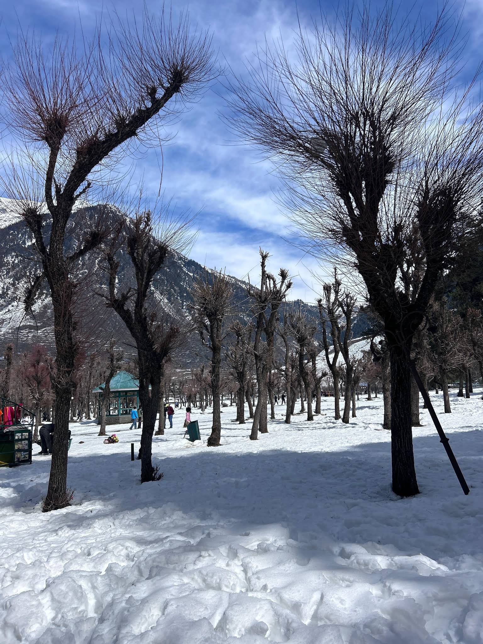 Trip image